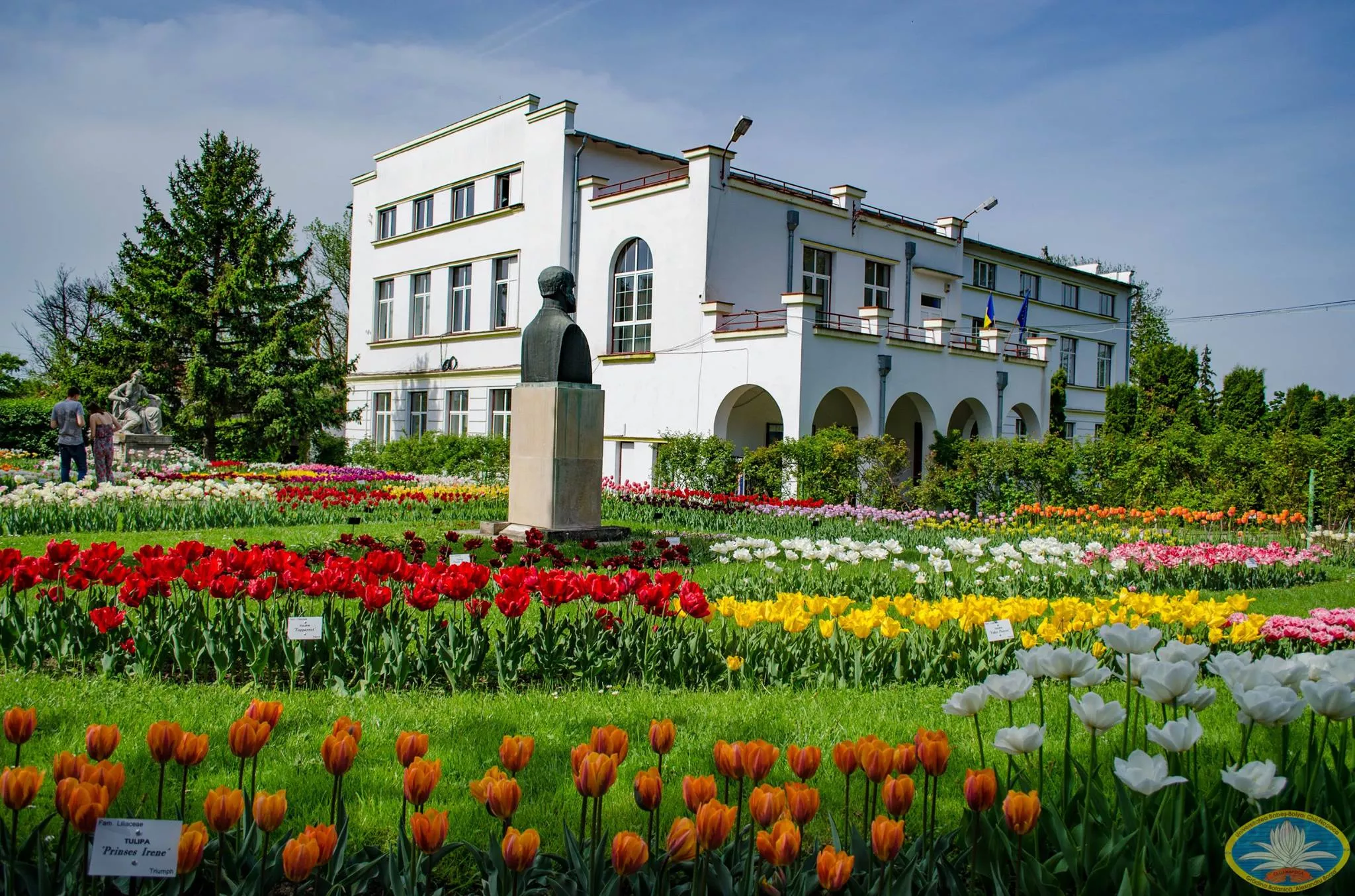 Spectacol în natură în Grădina Botanică din Cluj Napoca. Locul în care găsești cele mai frumoase flori din lume