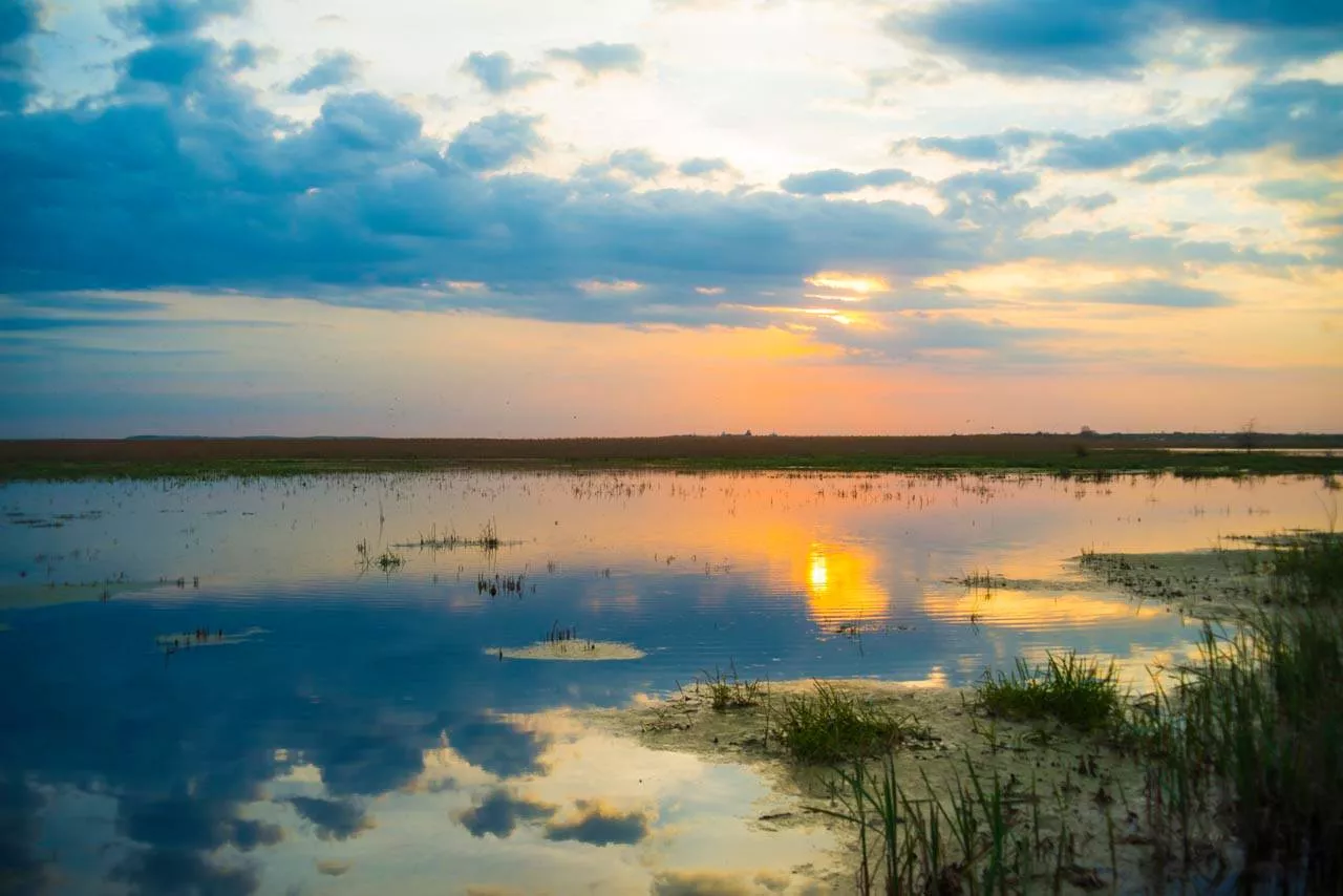 Delta Neajlovului, minunea naturală de lângă București