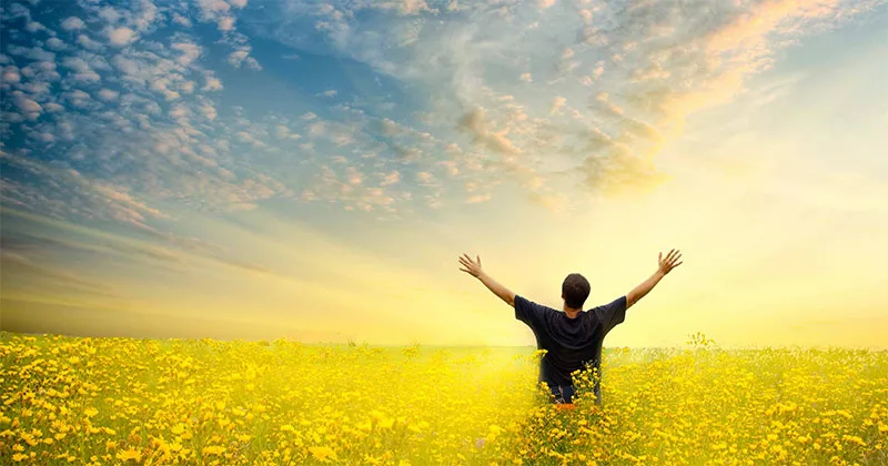 libertate-ips-bartolomeu-jpg