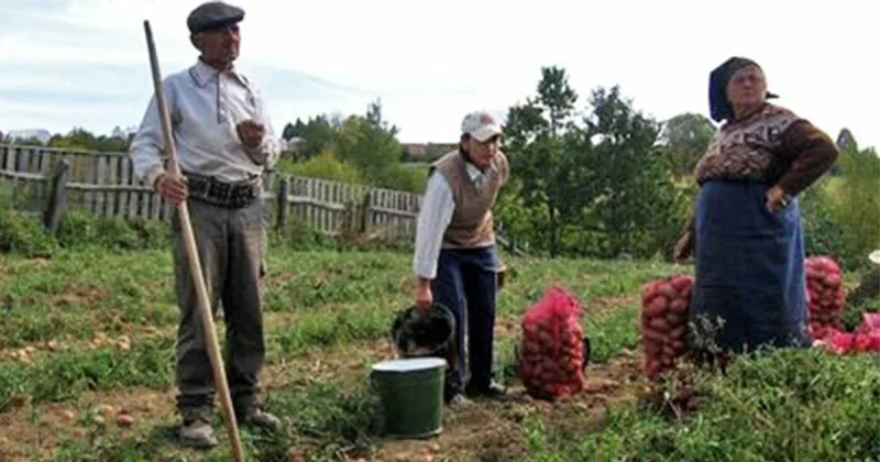 lucru-sarbatoare-b-jpg