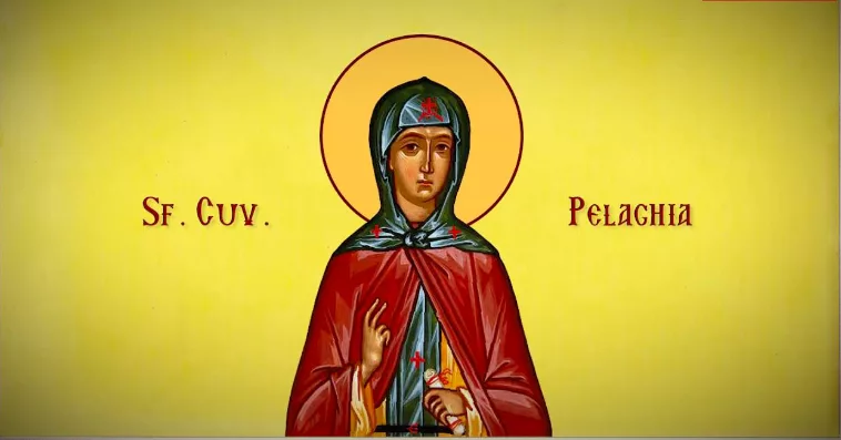 pelaghia